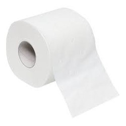 lot de 10 rlx papier toilette