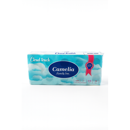 lot de 10 rlx papier toilette